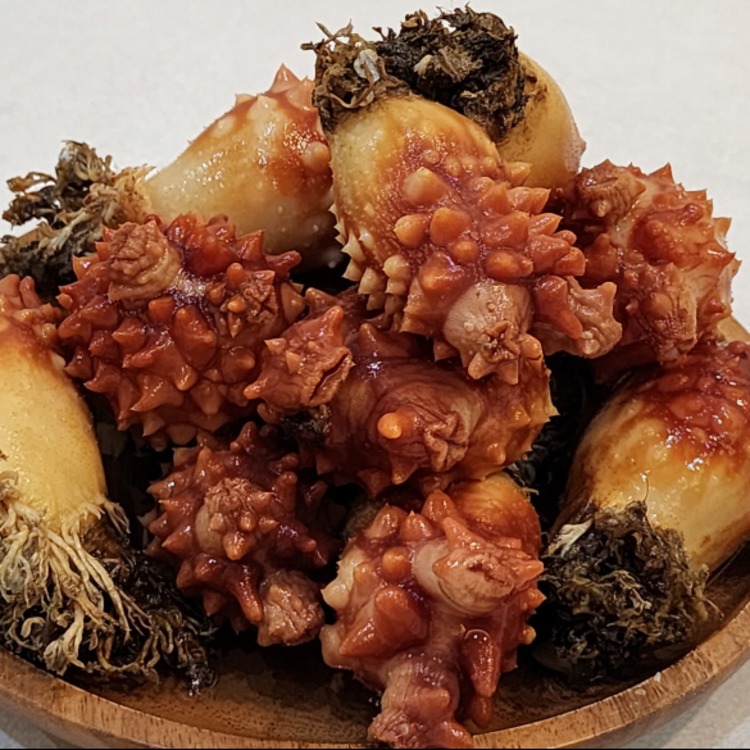 국내산 싱싱 통멍게