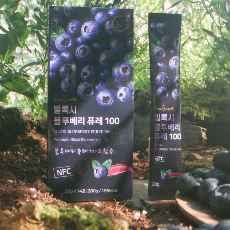 빌록시 블루베리 퓨레 100