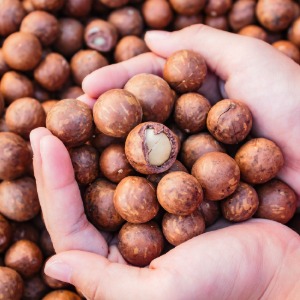 껍질째 구운 까먹는 통마카다미아 250g 1+1, 2팩 2