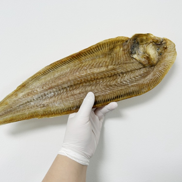 국내산 반건조 용서대 3마리(40cm 내외) 2